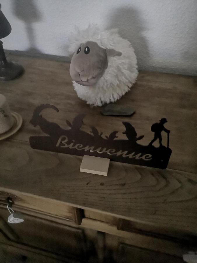 Appartement Renove Proche De Luz Saint Sauveur 1Chambre Et 1 Coin Cabine Luz-Saint-Sauveur Buitenkant foto